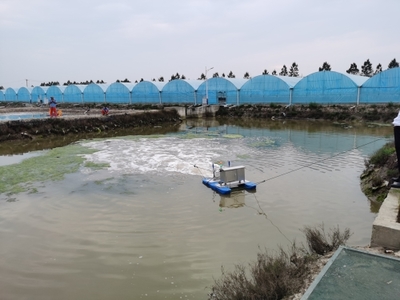加快推進海水養殖尾水治理示范點應用建設，助力海洋漁業綠色發展